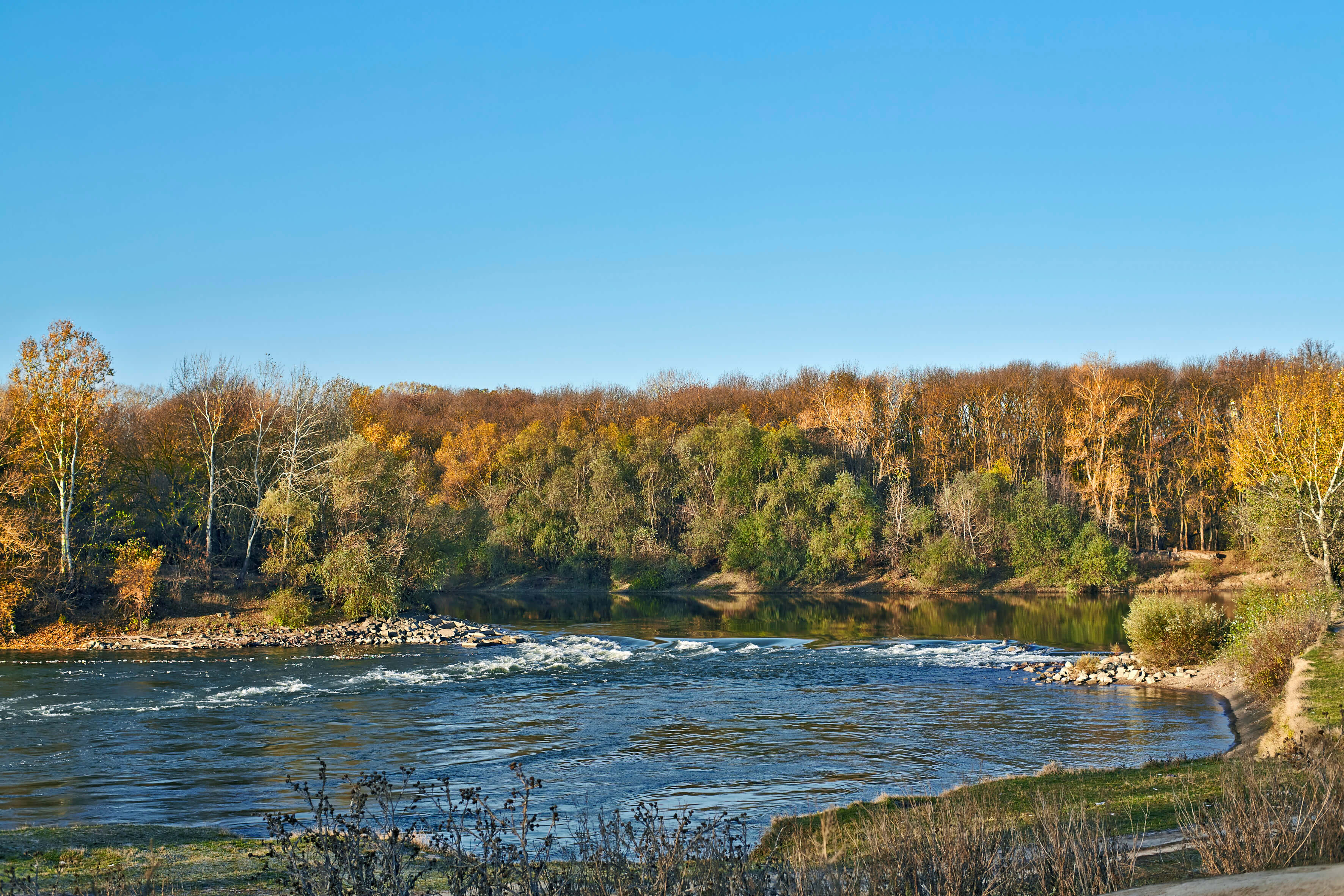 Природа ПМР